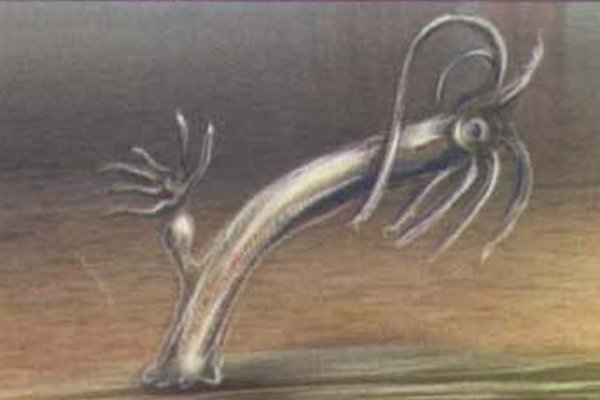 Поддержка кракен шоп