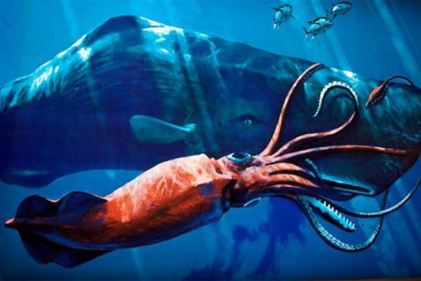 Kraken darknet kraken darknet 2n com