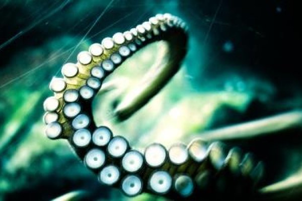 Кракен маркет даркнет тор