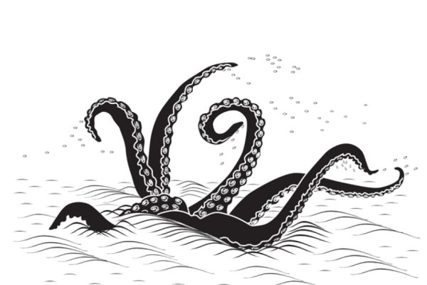 Как вывести деньги с kraken