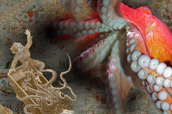 Вход в кракен